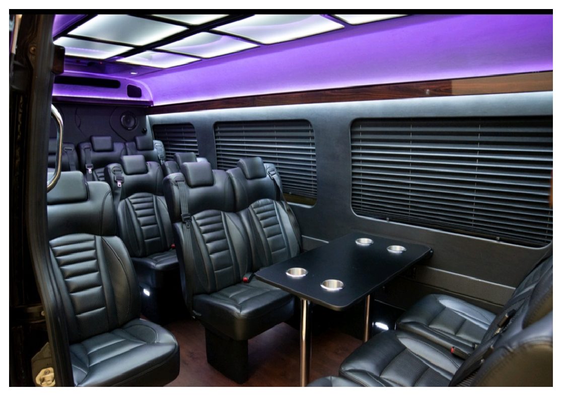 Sprinter VIP Coach, Hoffman Estates Limousine Services
